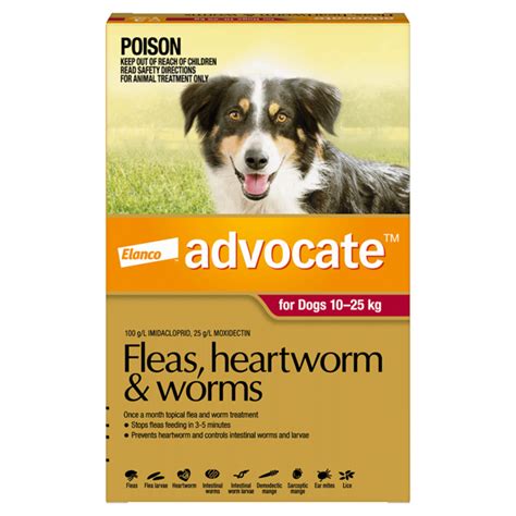 What Is The Best Heartworm Flea And Tick Prevention For Dogs