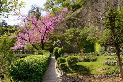 National Botanical Garden Of Georgia Tbilisi