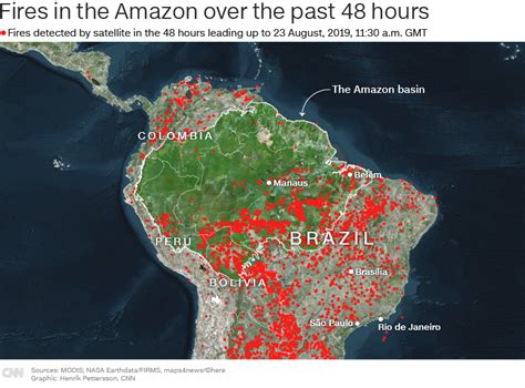 Amazon Rainforest Fire Chart