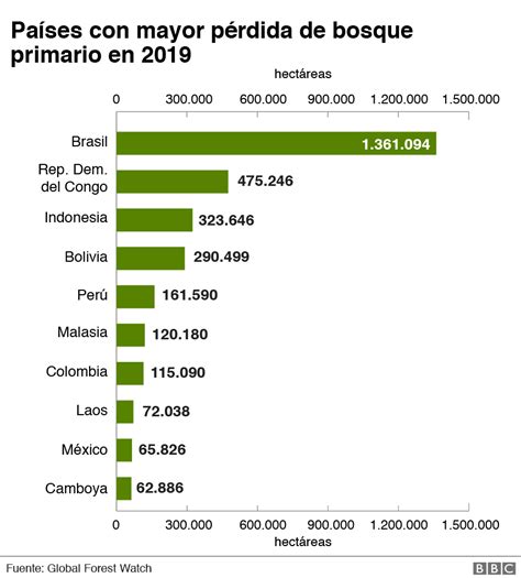 Deforestación Los 10 Países Que Perdieron Más Bosque Virgen En El