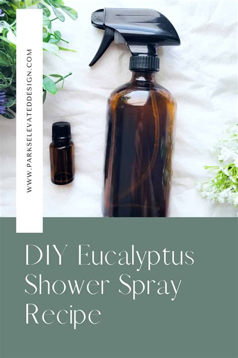 How To Make Diy Eucalyptus Shower Spray For Congestion Parks Elevated