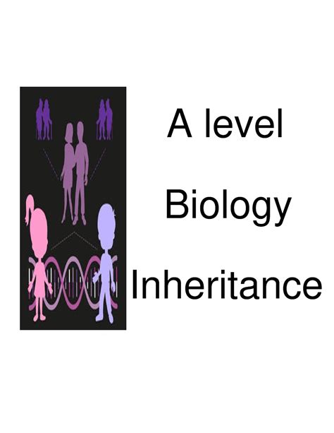 Inheritance Extended Notes A Level Biology Inheritance Chapter 17 Inheritance Gametogenesis