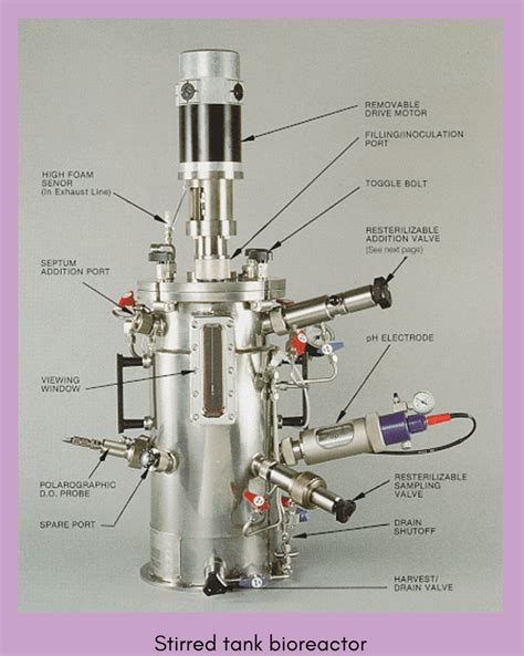 Types Of Bioreactors My Biology Dictionary