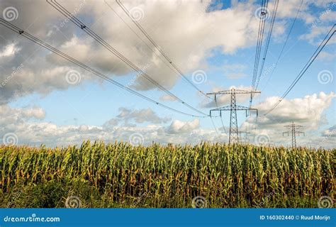 High Voltage Lines And Pylons In The Netherlands Stock Photo Image Of