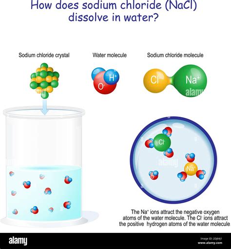 Cómo se disuelve el cloruro de sodio NaCl en agua Los iones Na