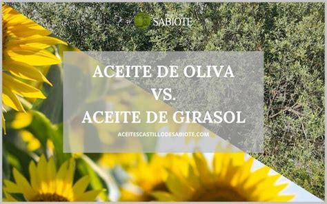 Aceite De Oliva O Aceite De Girasol Cu L Es Mas Sano