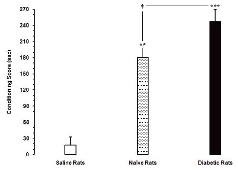 Scielo Brasil Insulin Replacement Prevents The Acquisition But Not