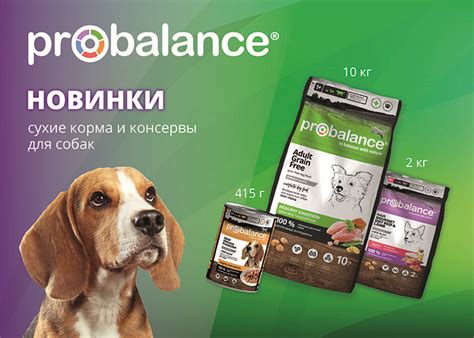 Корм ПроБаланс для собак и кошек. Купить корм ProBalance и ПроХвост