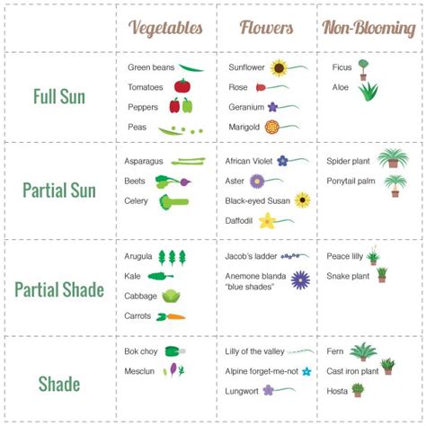 Sun Chart For Various Vegetables Vegetable Garden Vegetable Garden