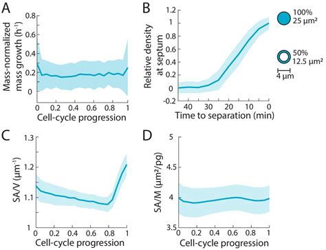 Figures And Data In Variations Of Intracellular Density During The Cell