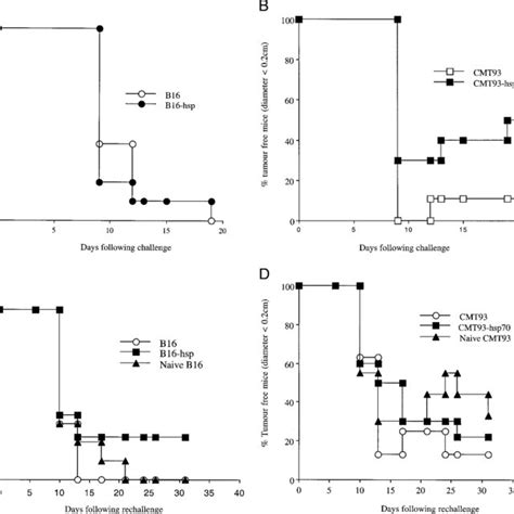 The Increased Immunogenicity Of Hsp70 Expressing Tumors Is Lost In Nude