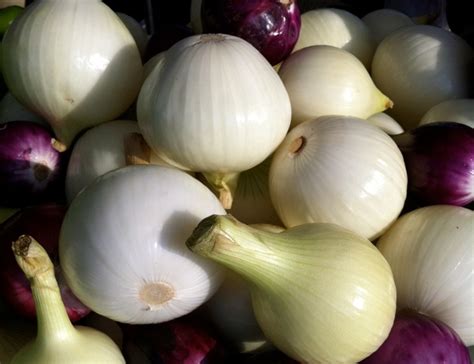 Fun Ingredient Of The Week Candy Onions Writes4food