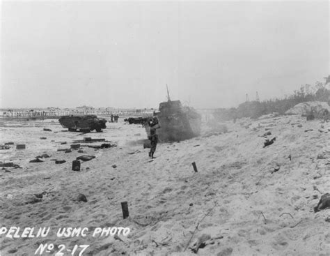 Photo LVTs On Peleliu Palau Islands 1944 World War II Database