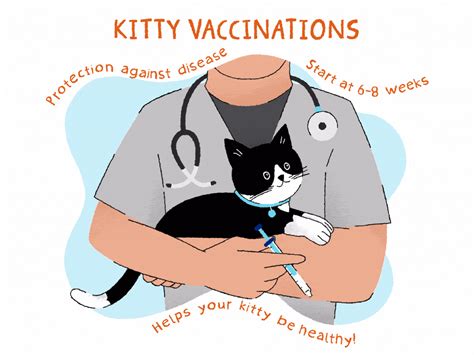 A Complete Kitten Vaccine Schedule Banfield Pet Hospital®