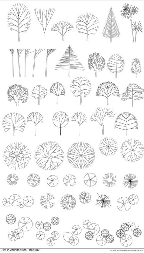 Free Cad Blocks Trees Landscape Architecture Graphics Gothic