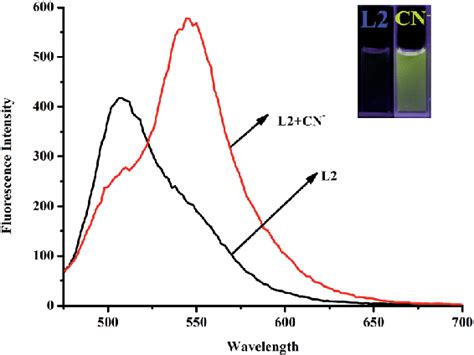 Fluorescence Spectra Of L2 20 Mm Upon Excitation At 455 Nm Dmsoh 2 O