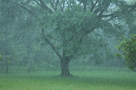 Clique Ambiental Dia De Chuva