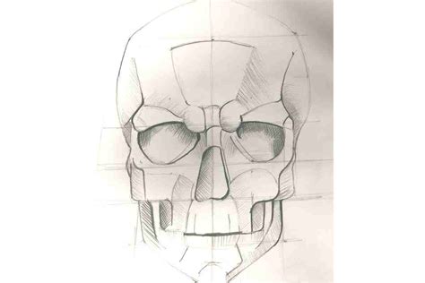 How To Practice Drawing Anatomy: The Essential Guide – Improve Drawing