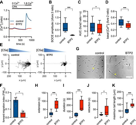 Stim1 Dependent Store Operated Calcium Entry Mediates Sex Differences In Macrophage Chemotaxis