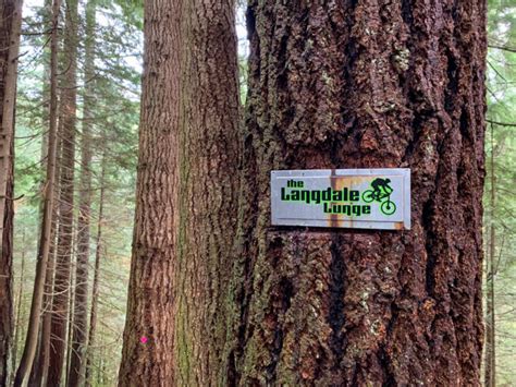 Langdale Falls Hike on the Sunshine Coast, BC