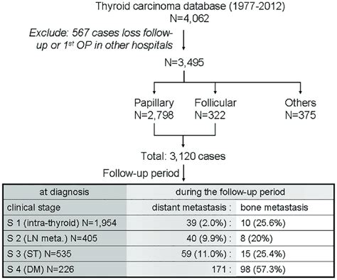 Cases Of Papillary And Follicular Thyroid Carcinoma With Bone