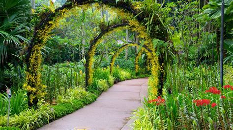 Singapore Botanic Gardens pictures: View photos and images of Singapore ...