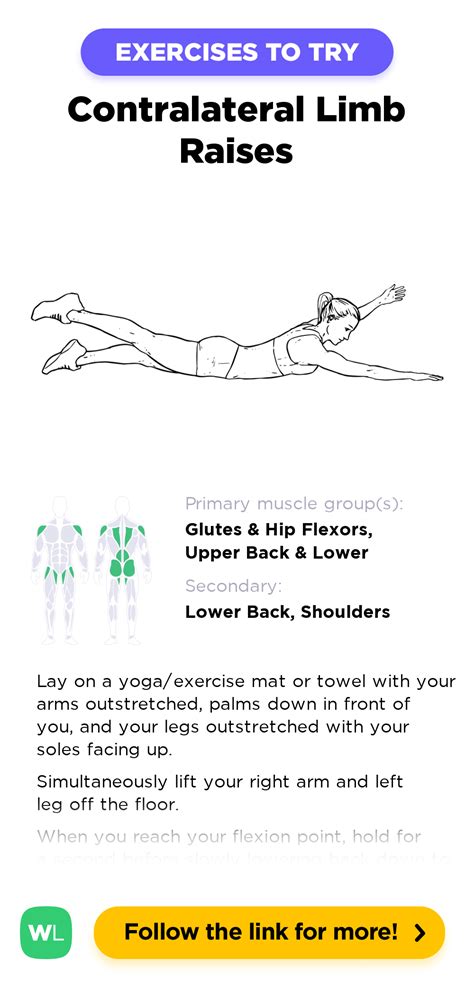 Contralateral Limb Raises – WorkoutLabs Exercise Guide