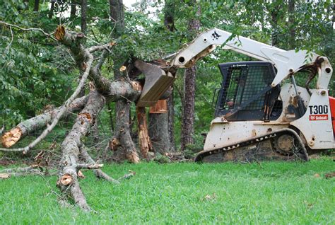 Tree Pruning Services - Outdoor Contracting, Inc. - Outdoor Contracting ...