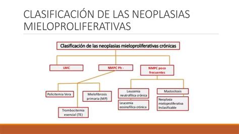 Neoplasias Mieloproliferativas Ppt