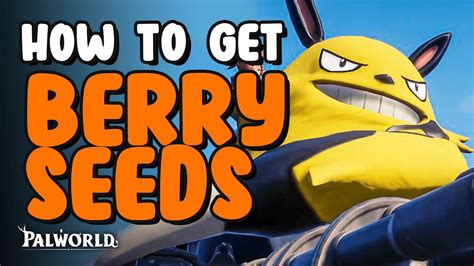 How To Get Berry Seed | Palworld - YouTube