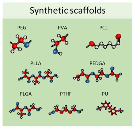 IJMS Free Full Text Three Dimensional Cell Cultures The Bridge