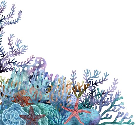 Under Ocean Life Element With Watercolor Painted Coral Reef 23493634 Png