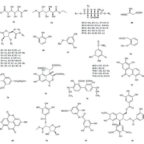 Chemical Structures Of Phenolic Acids 51 81 Download Scientific