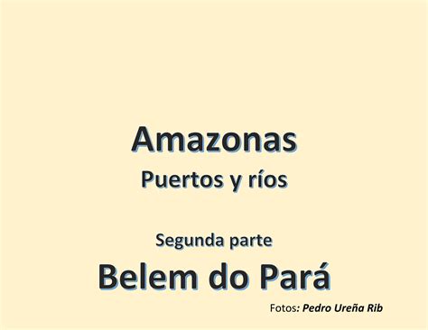 Convencion Belem Do Para 5