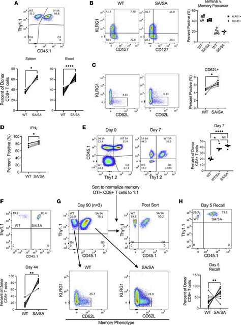 Jci Insight Tsc S A Mutation Potently Regulates Cd T Cell