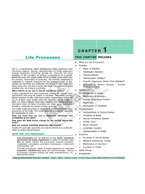 Life Processes | PDF