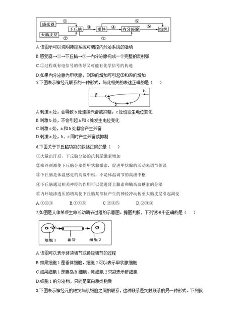 【生物】青海省西宁市第四高级中学2018 2019学年高二上学期期末考试试题 教习网试卷下载