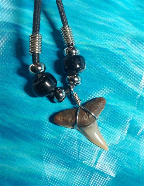 Tiger Shark Tooth Necklace