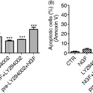 Effects Of Ly And B Ngf On Cell Cycle And Apoptosis Cell Cycle