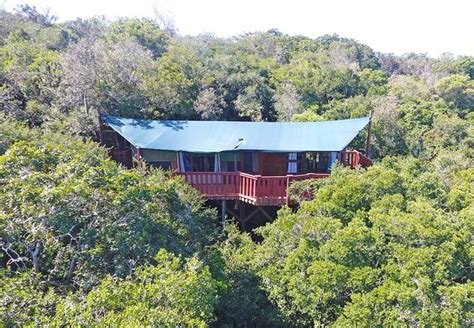 Teniqua Treetops In Sedgefield Garden Route