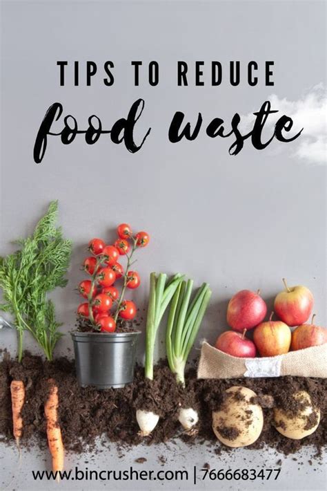 Free Sustainable Ways To Reduce Food Waste Artofit