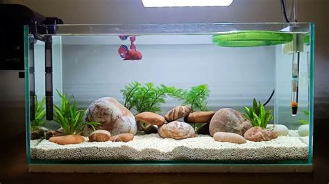 Diy Fish Tank (20 Free Plans)