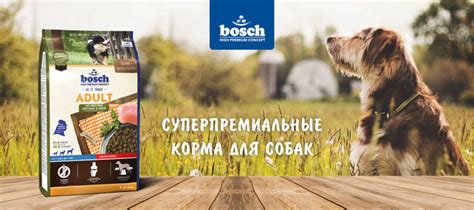 Корм Бош (Bosch) для собак: отзывы ветеринаров и владельцев животных