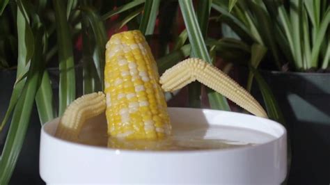 Hot Steamy Hardcore Corn Pornhub