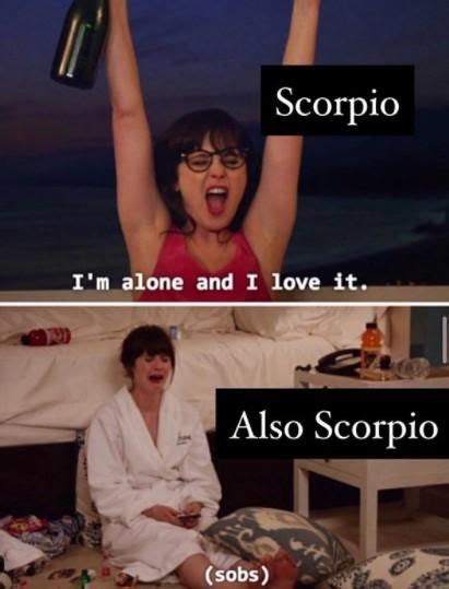 Best Scorpio Memes That Describe This Zodiac Sign Artofit