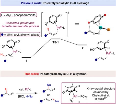 Platinum Catalyzed Allylic Ch Alkylation With Malononitriles Ccs