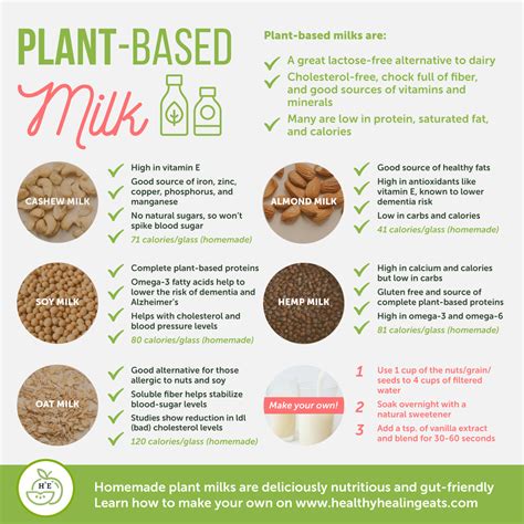 plant based milk healthy healing eats