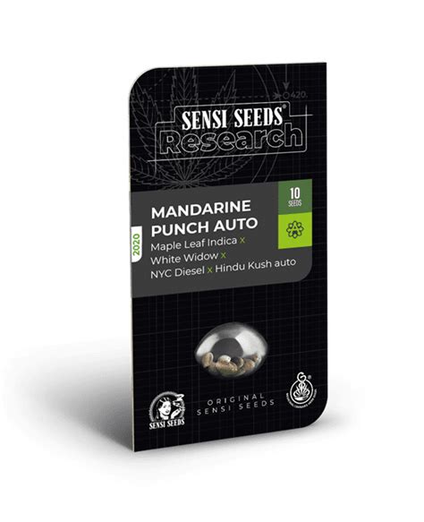 Mandarine Punch Automatic Cannabis Seeds By Sensi Research Seeds