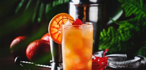 Best Fruity Gin Cocktails To Drink