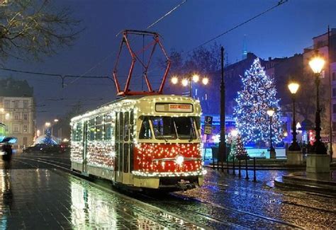Новый год в Краснодаре 2023: программа, где отметить, где погулять